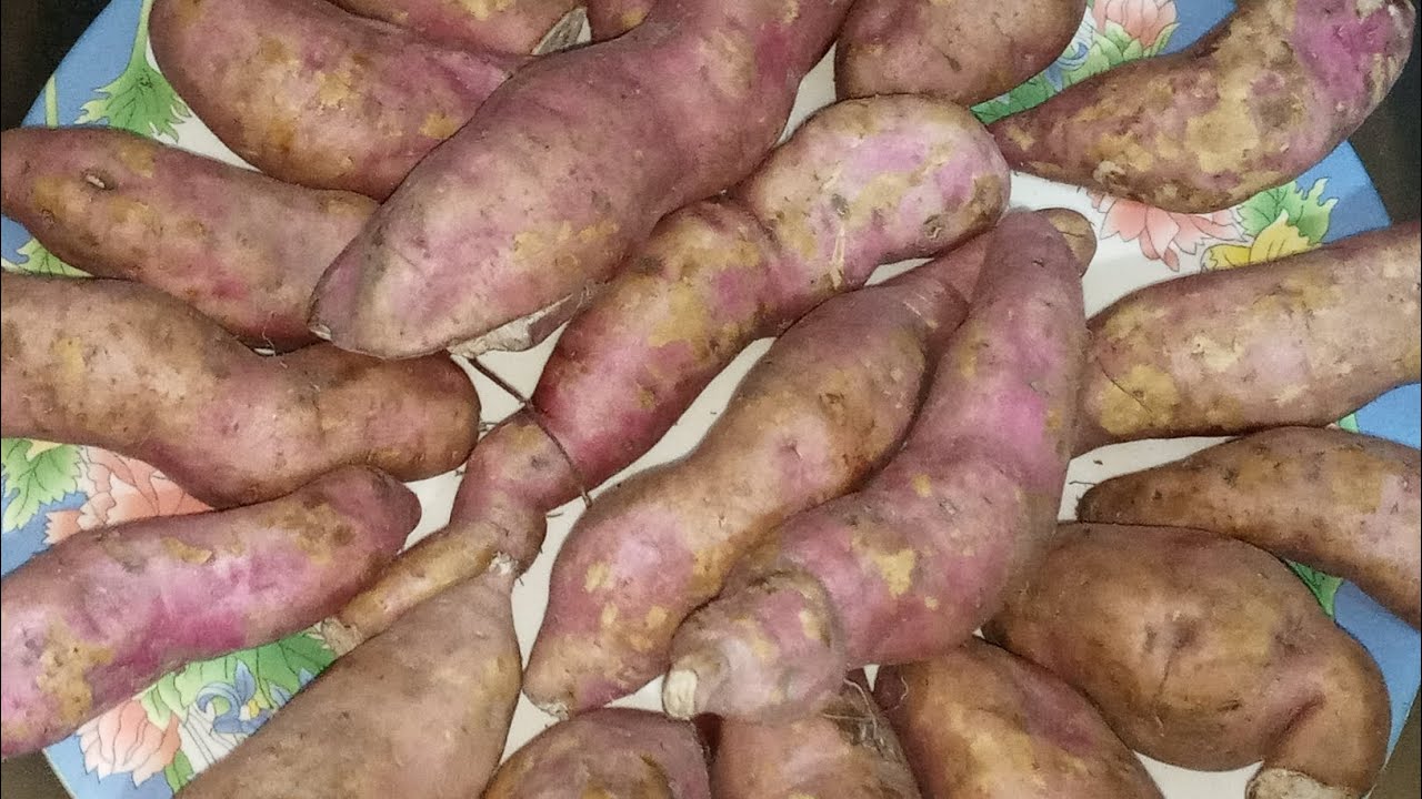 মিষ্টি আলু সিদ্ধ করলাম