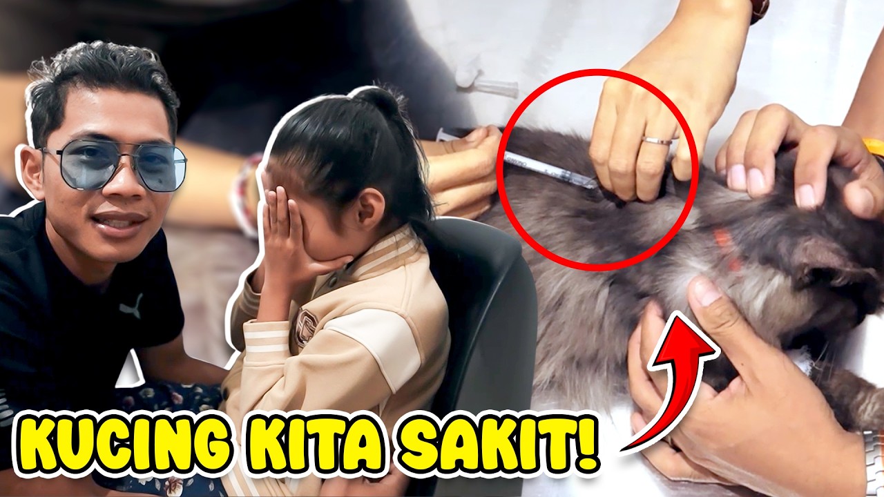 ALUNA DAN AMANDA SEDIH KUCINGNYA SAKIT!!