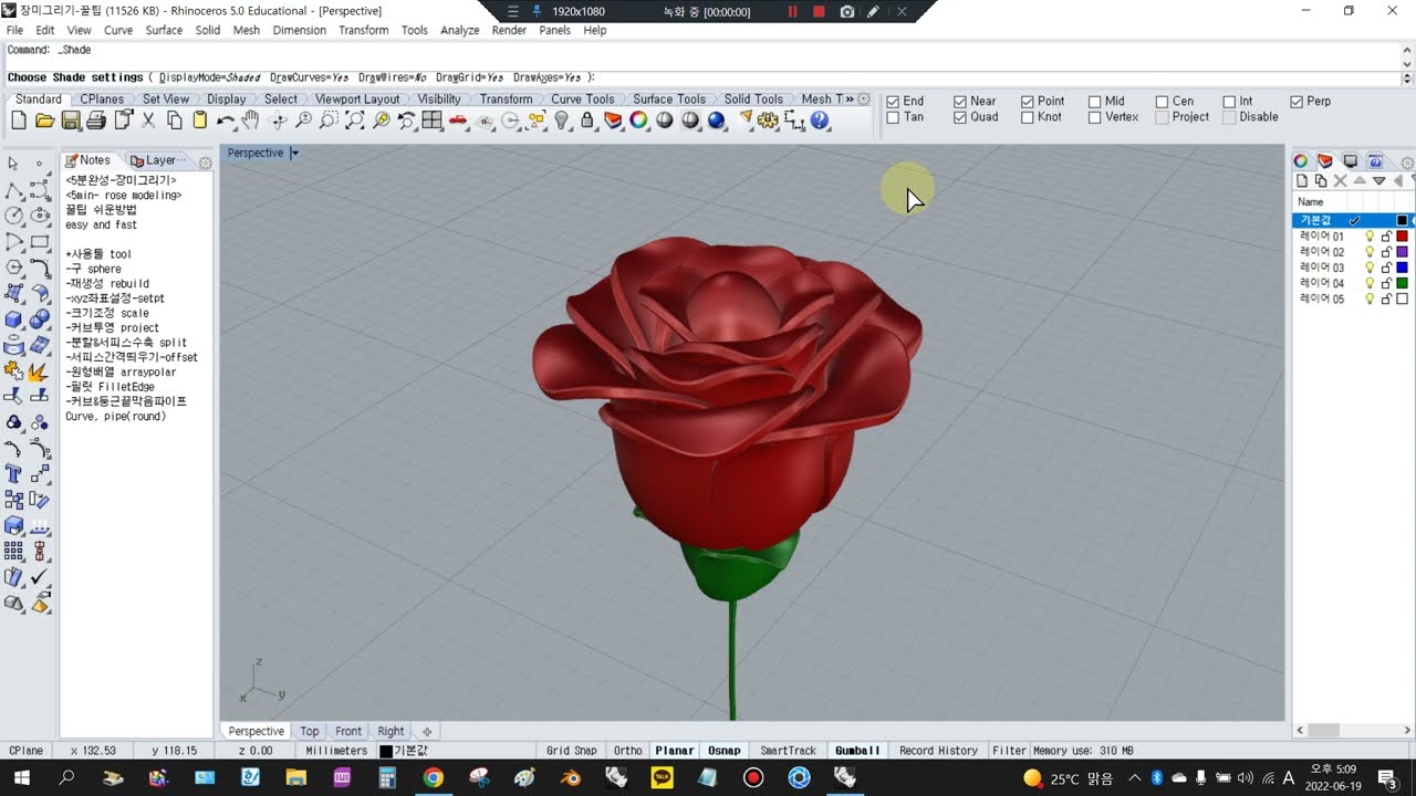 [5min] rose modeling Rhino 3d  English Version easy and fast