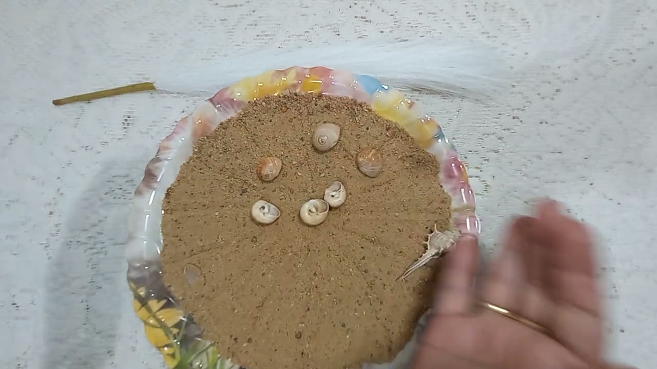 القراءة بالرمال والودع لبرج الثور 🦬🦬