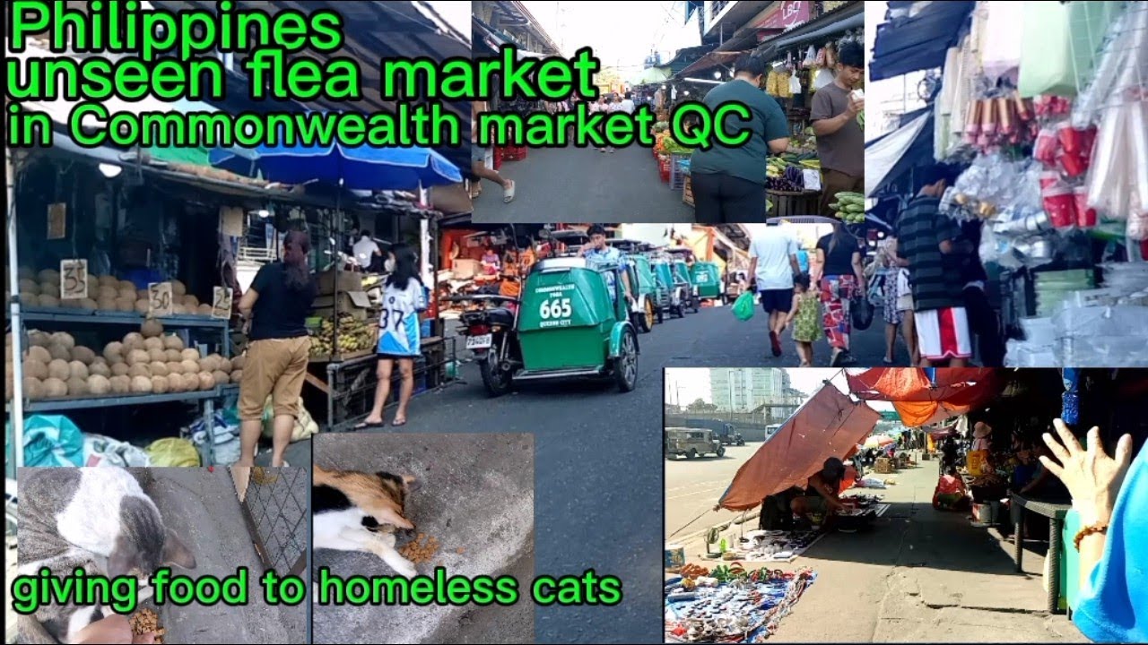 Philippines Unseen Flea Market & Giving Foods to Homeless Cat in Commonwealth Market