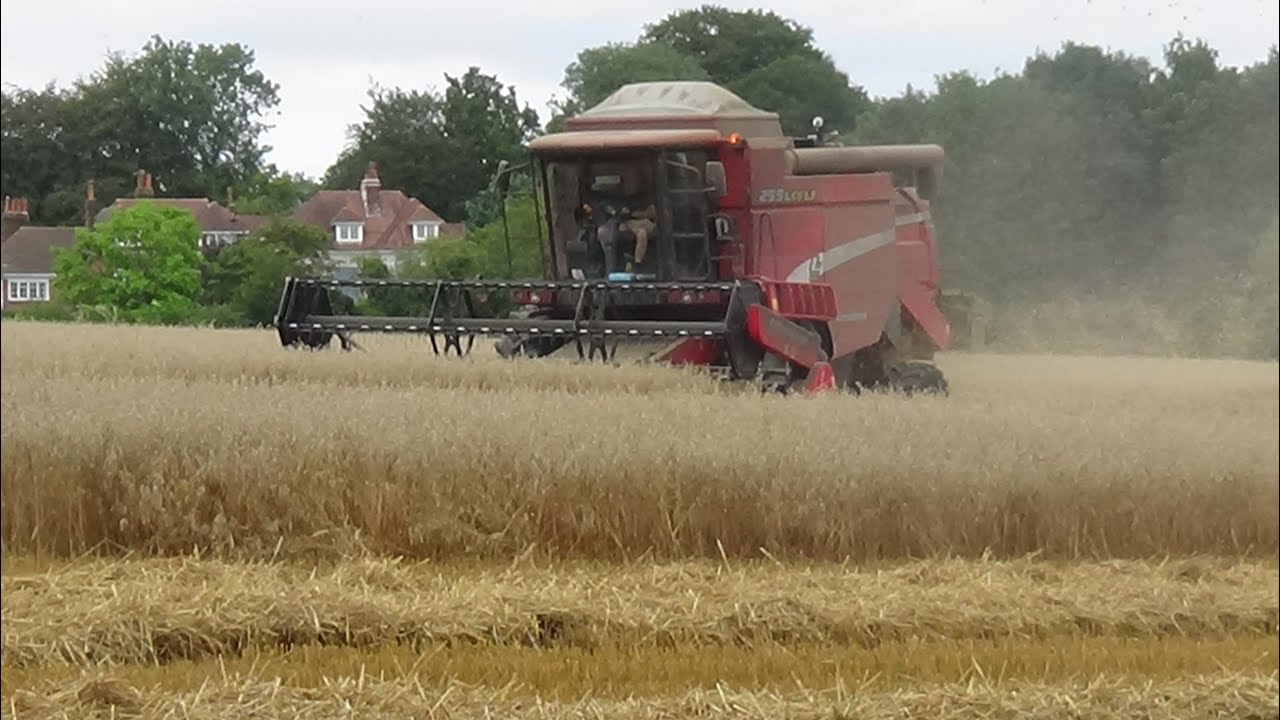 Harvest 2021- Combining Oats with Very Rare Laverda 255 LCSLS! & Massey Ferguson 7618
