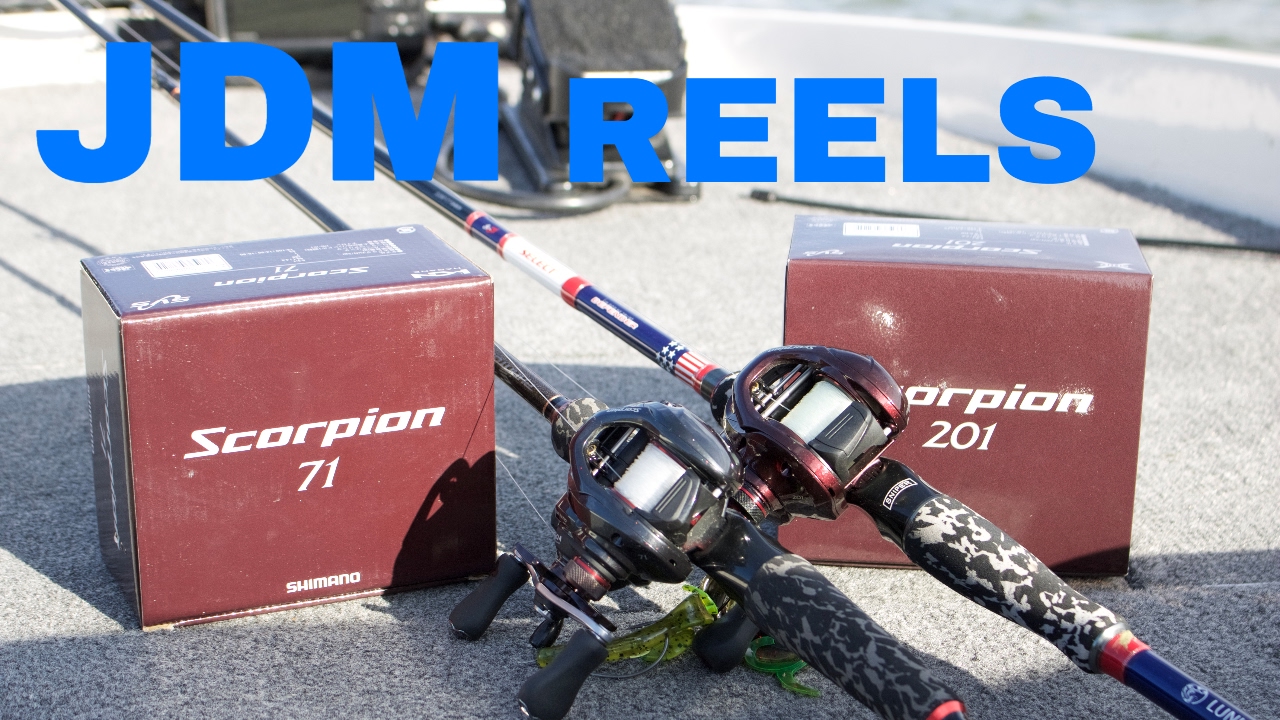 How Can A JDM Fishing Reel Benefit YOU? (Shimano Scorpion)