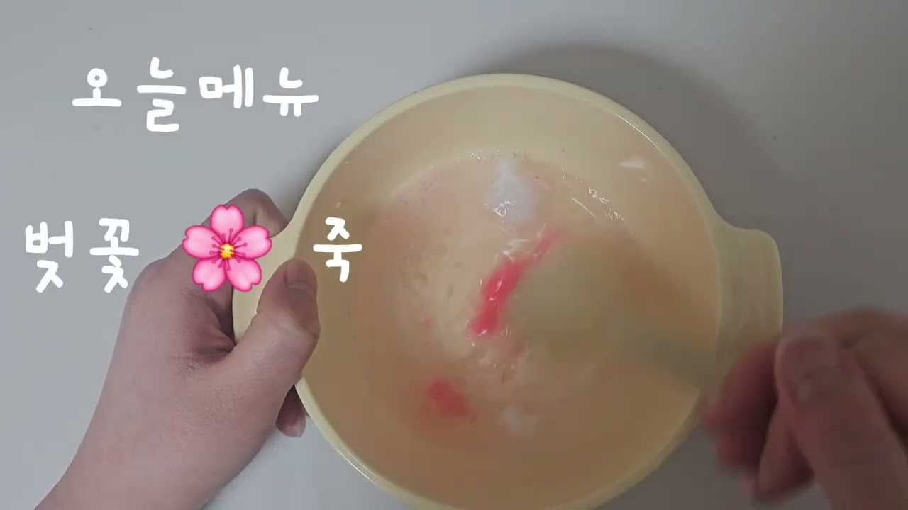 뽀양이의 아침밥 브이로그  (인형계 인형 놀이)