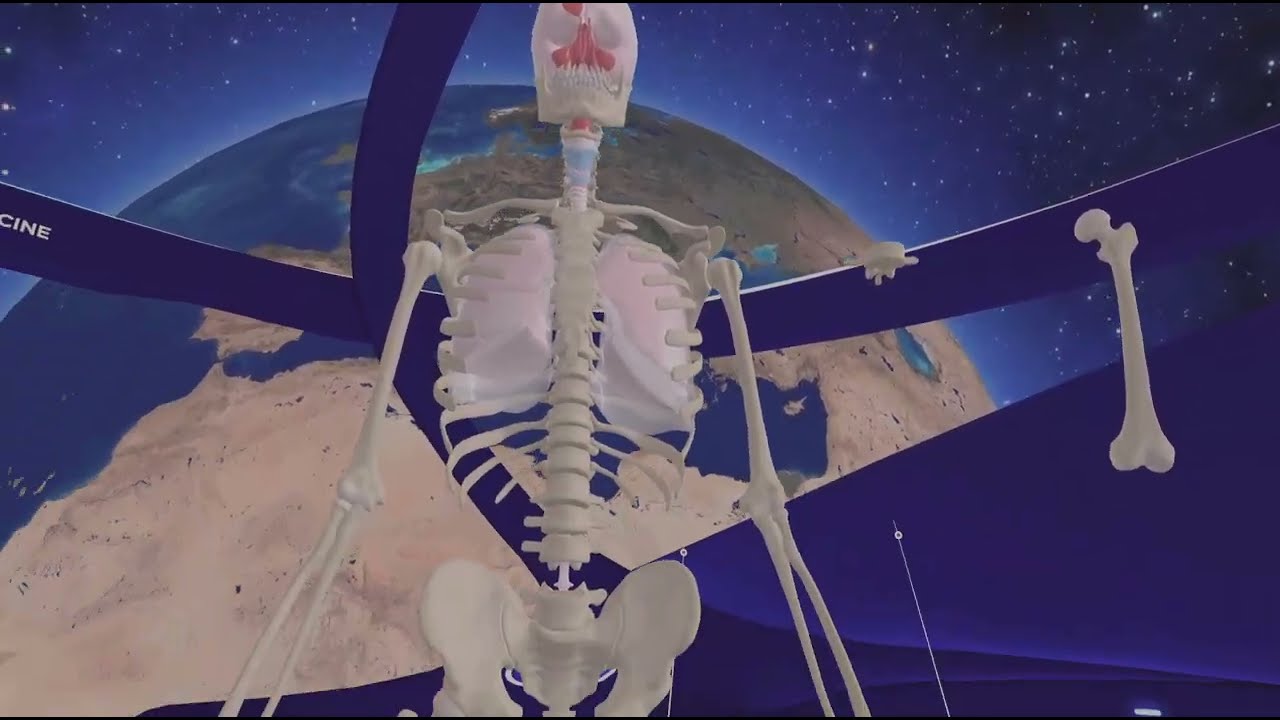 Meta Quest 3 - Human Anatomy VR_20260120014515