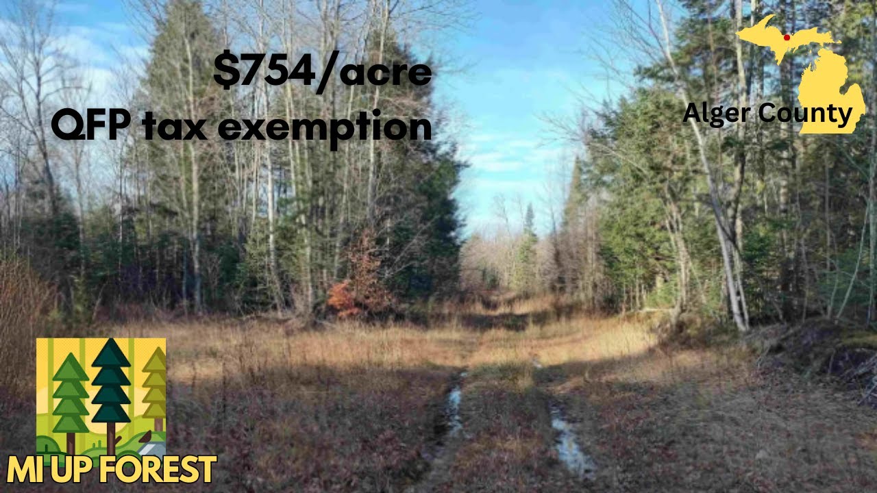 Земельный участок на Верхнем полуострове продается по смешной цене 🌲