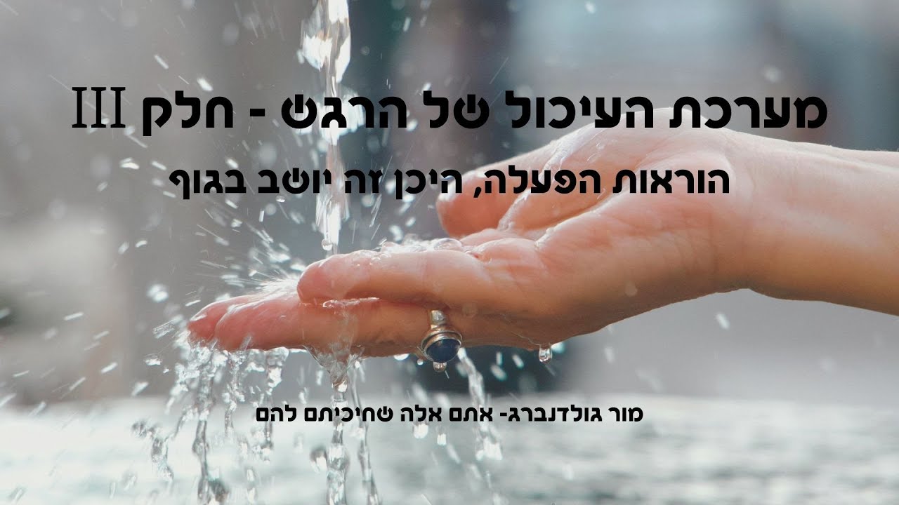 מערכת העיכול של הרגש חלק III - הוראות הפעלה, היכן זה יושב בגוף