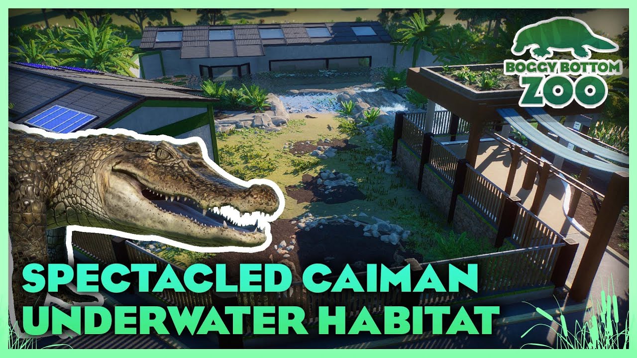 Modern Spectacled Caiman Habitat! | Boggy Bottom Zoo