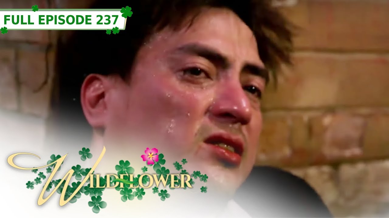 Full Episode 237 | Wildflower with ENG SUB | Maja Salvador, Joseph Marco, RK Bagatsing