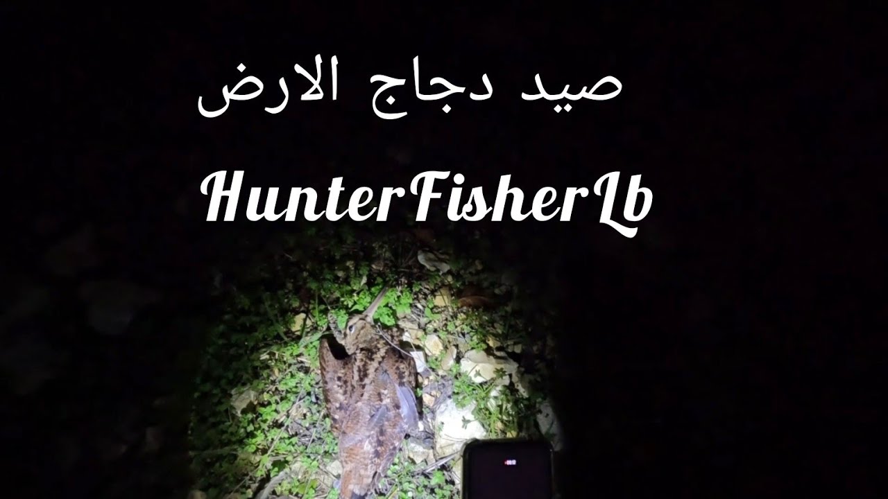 صيد دجاج الأرض (الشكب) عند المغيب- Woodcock Hunting- Caccia Al Beccaccino #hunting #woodcock