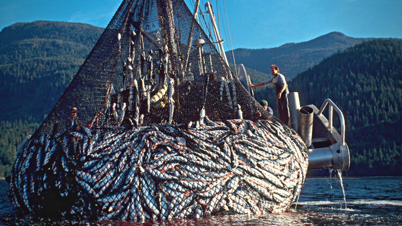 Gigantic Fishing Nets | HOW IT'S MADE