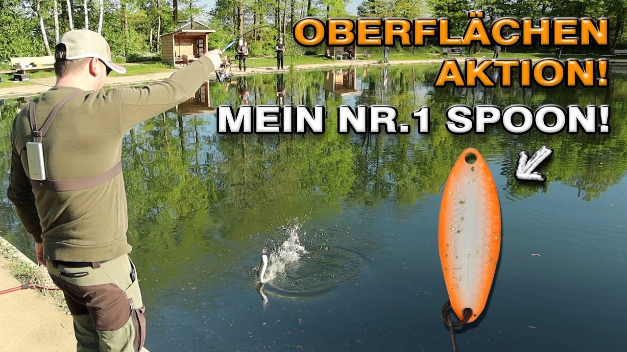 Forellenangeln im Sommer | Mein Nr.1 Spoon f&uuml;r die Oberfl&auml;che | Forellenangeln bei WILD