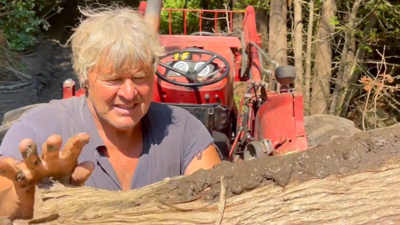How Dangerous Is It Working In A Bush