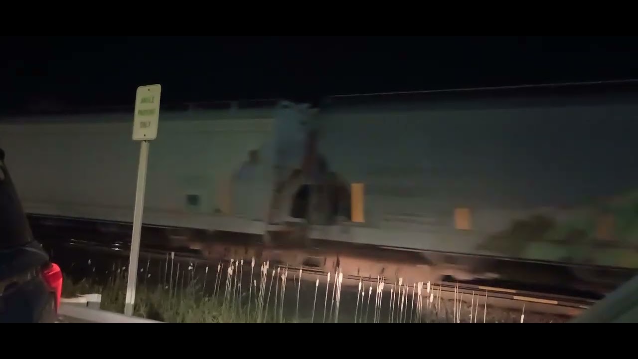 TrainVideo Of A PHONE 📱 View With A CN 485 SB Train 🚂 In The Richmond Michigan USA Area By Tina