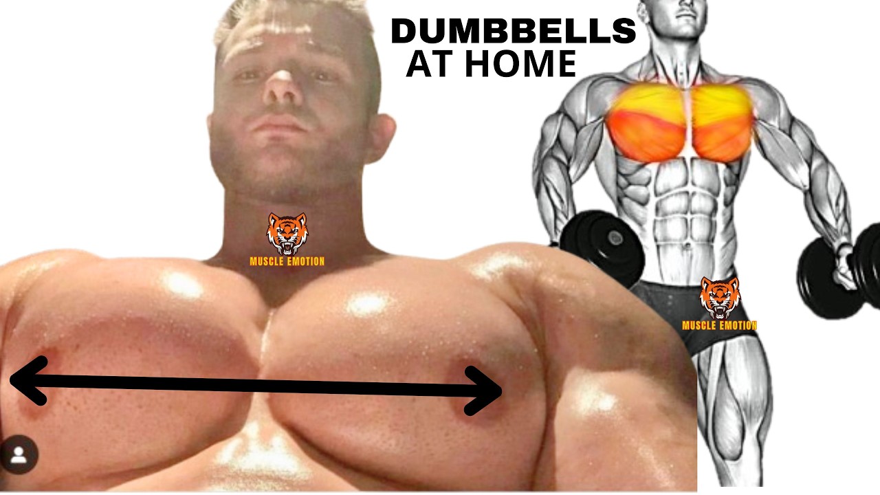 6 best chest workout with dumbbels only at home