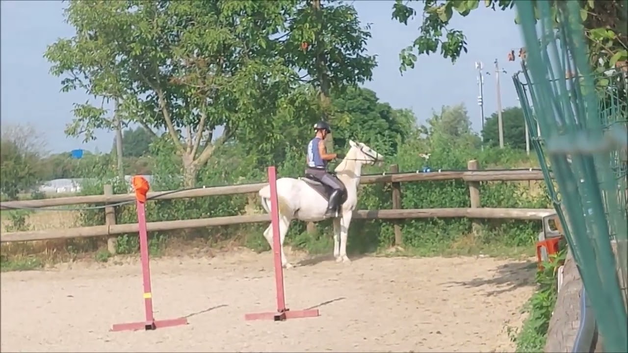 Souris, in campo,06072025