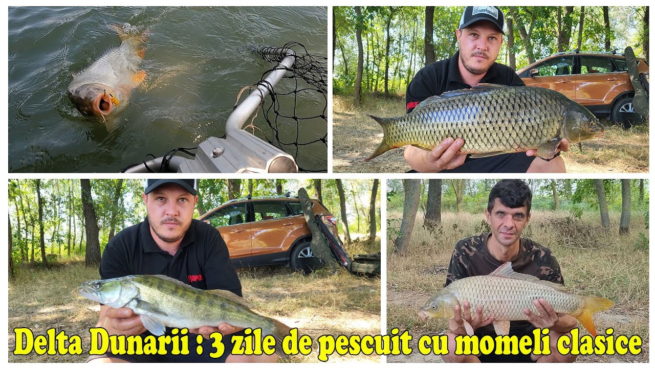 DELTA DUNARII : 3 ZILE DE PESCUIT CU MOMELI CLASICE