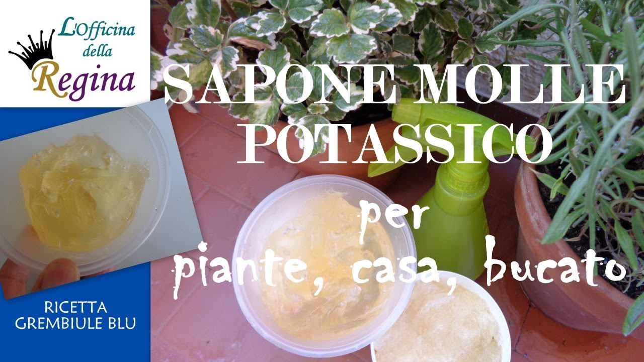 Sapone molle potassico, per piante, casa, bucato