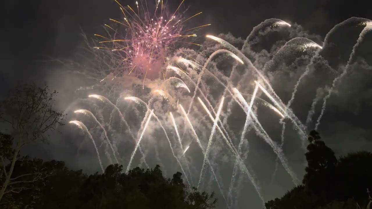 🎆 fireworks 🎇 Fuegos artificiales 🎆 #disney #disneyland #fireworks #cuetes #disneyparks 