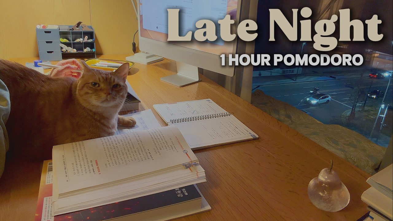 1 Hour Pomodoro Timer (25/5)ㅣSoft Piano BreakㅣLate Night study with me 🐈