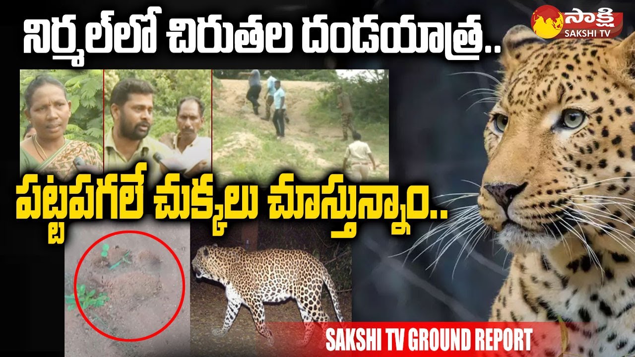 Sakshi TV Ground Report On Nirmal District Leopard Tension | Panic With Leopard | @SakshiTV