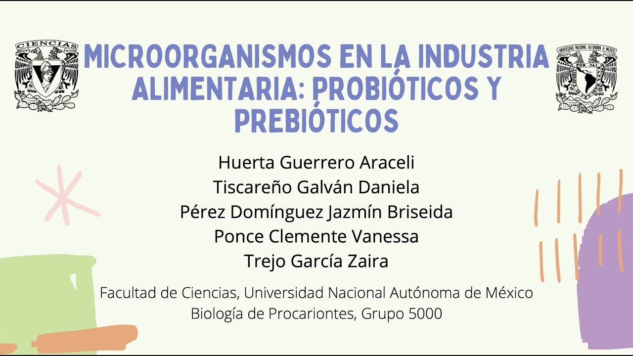 MICROORGANISMOS EN LA INDUSTRIA ALIMENTARIA: PROBI&Oacute;TICOS