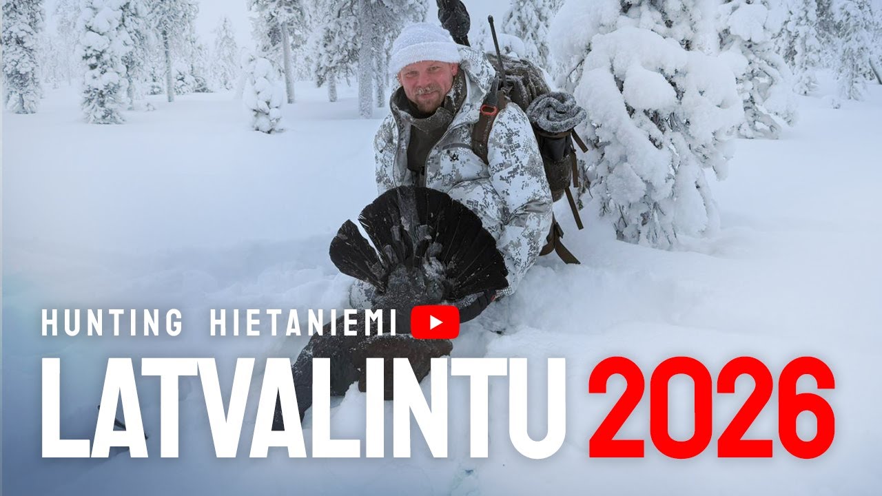 latvalintujahti 2026  / Toppjakt