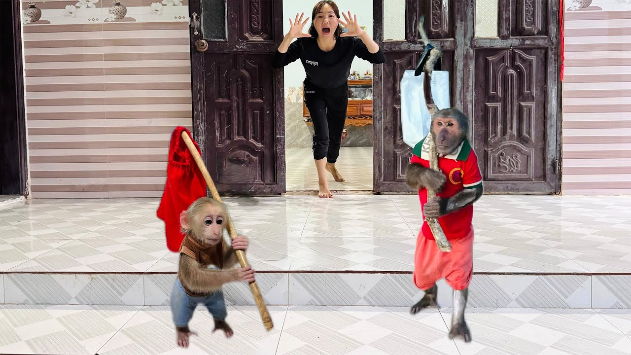 Oh No! Abu and the Baby Monkey Leaving Home! What Should Mom Do?