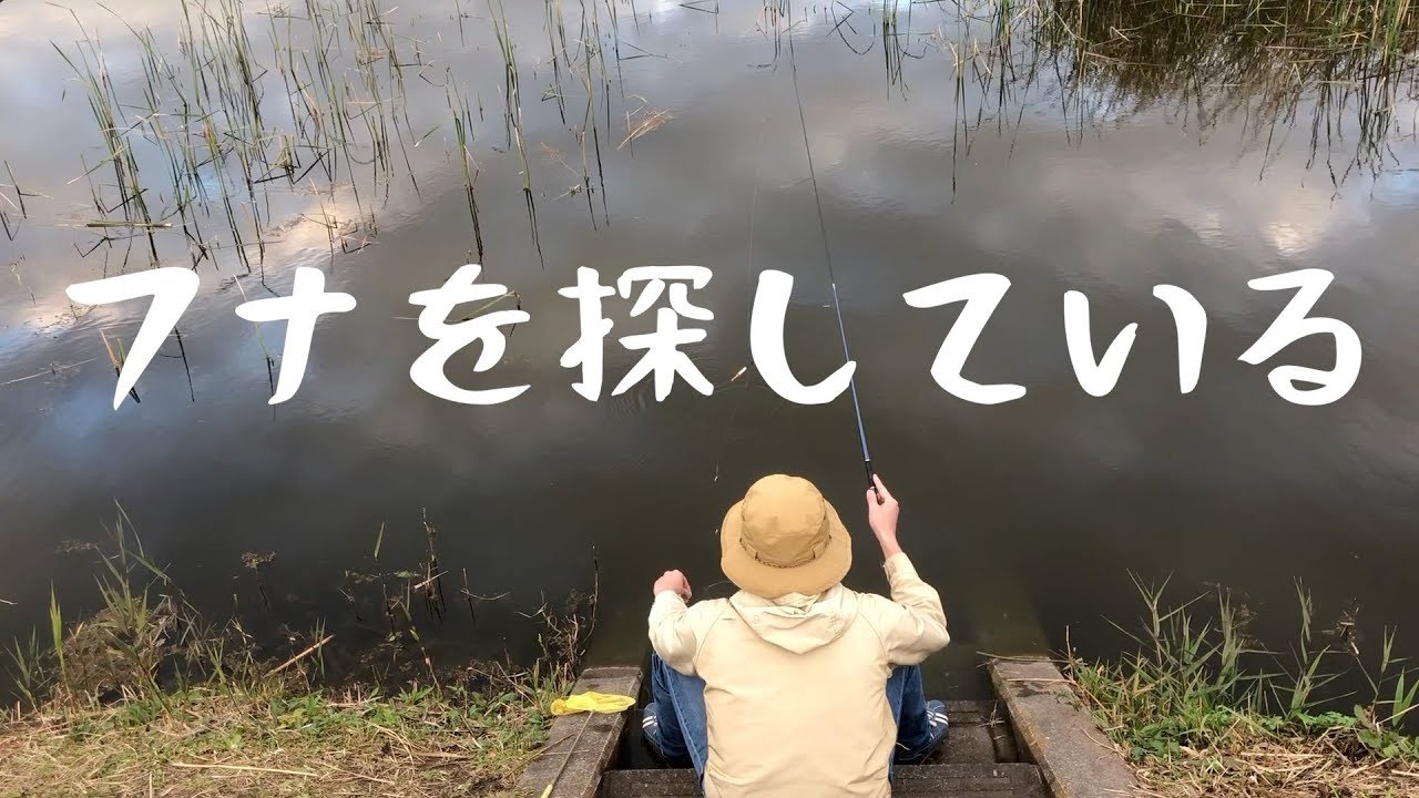 小物釣り フナを探している Crucian carp fishing