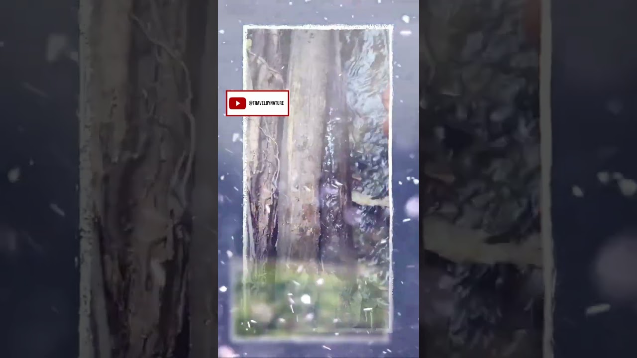 EXPLORING Vumba Mountains' HIDDEN NATURAL WONDERS