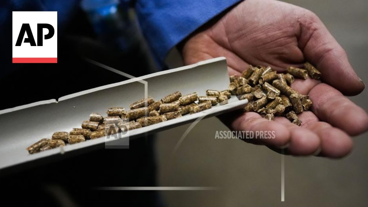 Wood pellets boom in the US raises health and environmental concerns