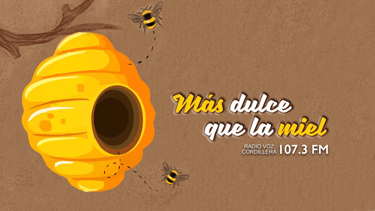 ¡Acompáñanos en "Más dulce que la miel"! 🍯| Radio Voz Cordillera 107.3 FM
