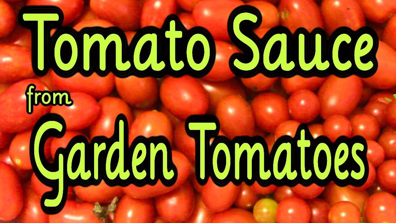 Making Tomato Sauce with a Vitamix