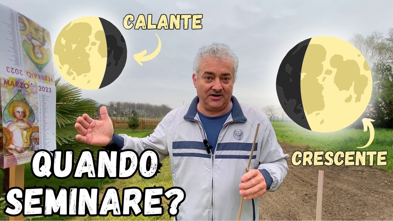 Seminare nell'ORTO in LUNA CALANTE o CRESCENTE? Scopriamolo!