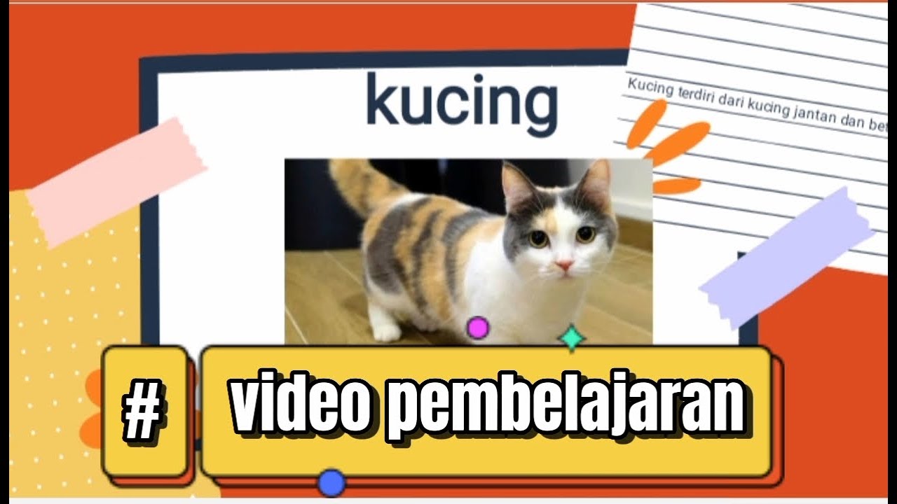 video pembelajaran tentang kucing || PAUD ||