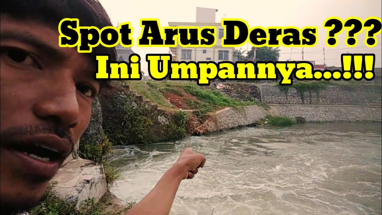 Solusi umpan untuk ikan tawes arus deras #jelata #kawanjelata #mancingmania
