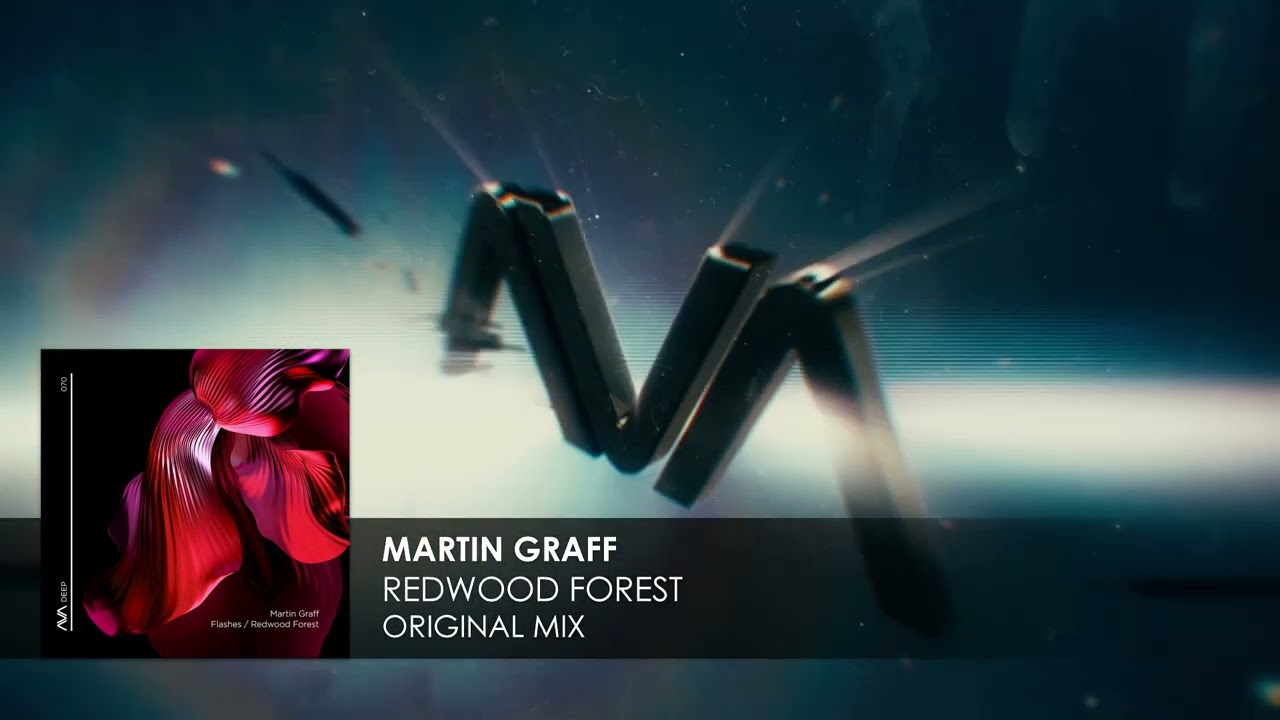 Martin Graff - Redwood Forest