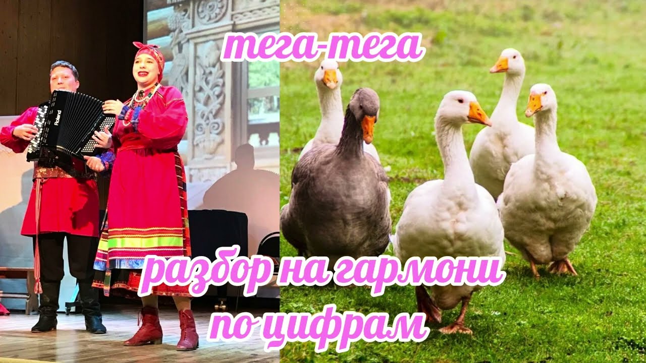 Тега-тега // разбор на гармони по цифрам