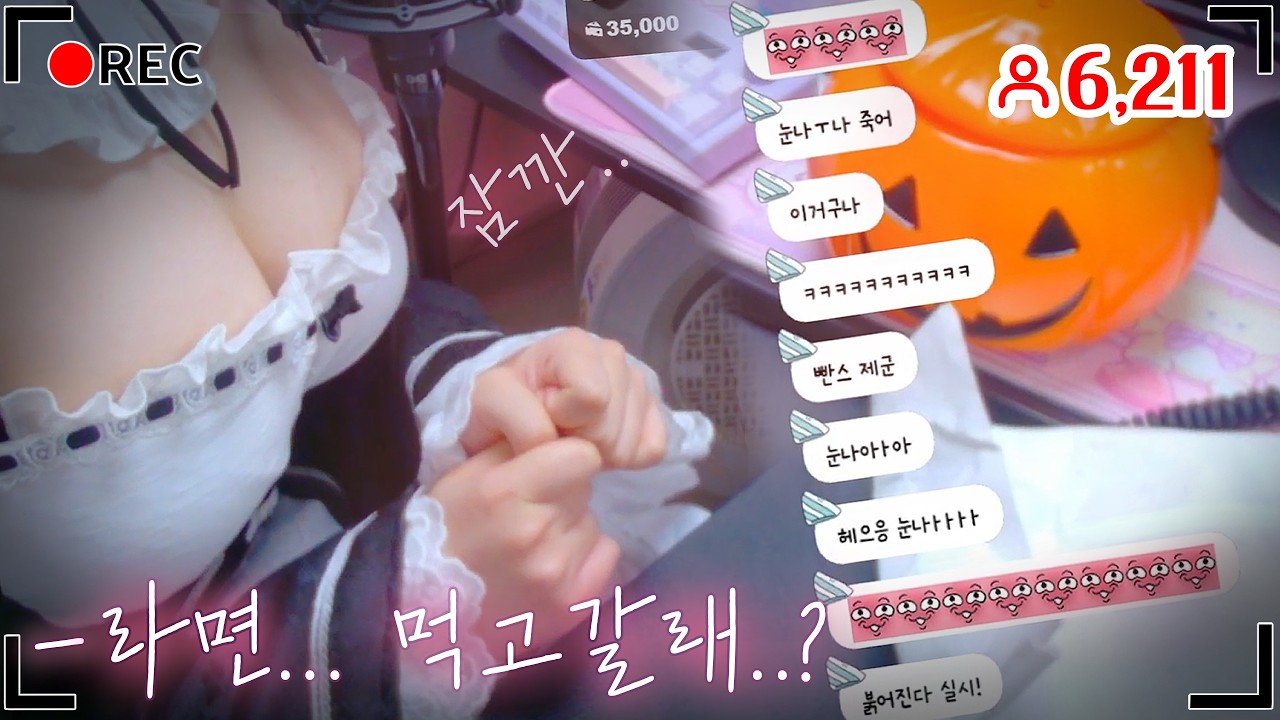 어느 버튜버의 레전드 빨간약