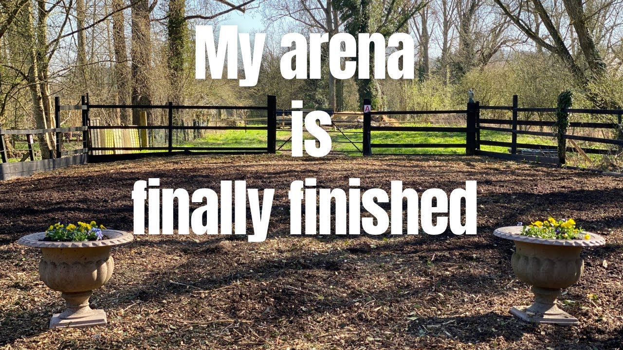 A day in the life of an equestrian | my arena is finally finished | DITL of a horse owner