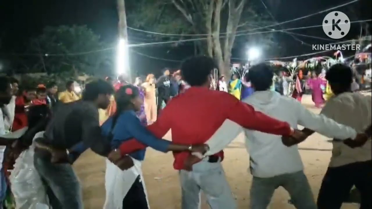 Chintapalli mandalam Pedda Barda panchayat  labbar gondhi gramamam  pandugabichaparbhutribaldimsa