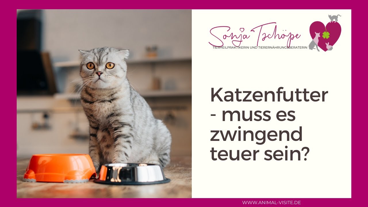 Katzenfutter - muss Gutes zwingend teuer sein?