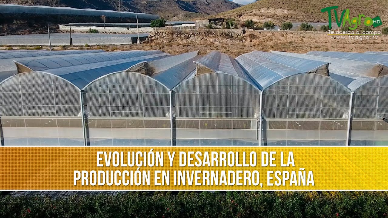Producción Agrícola en Invernadero- TvAgro por Juan Gonzalo Angel