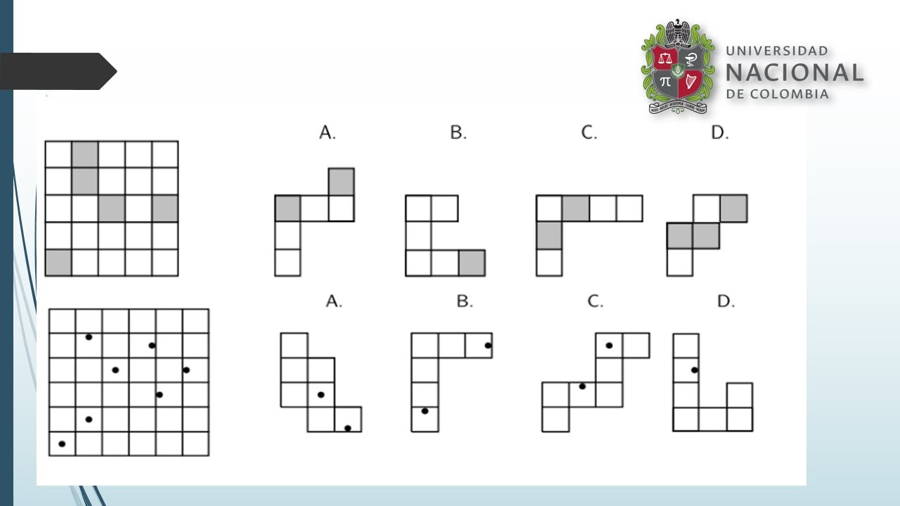 2 Preguntas de Análisis de Imagen tipo examen de admisión UNAL