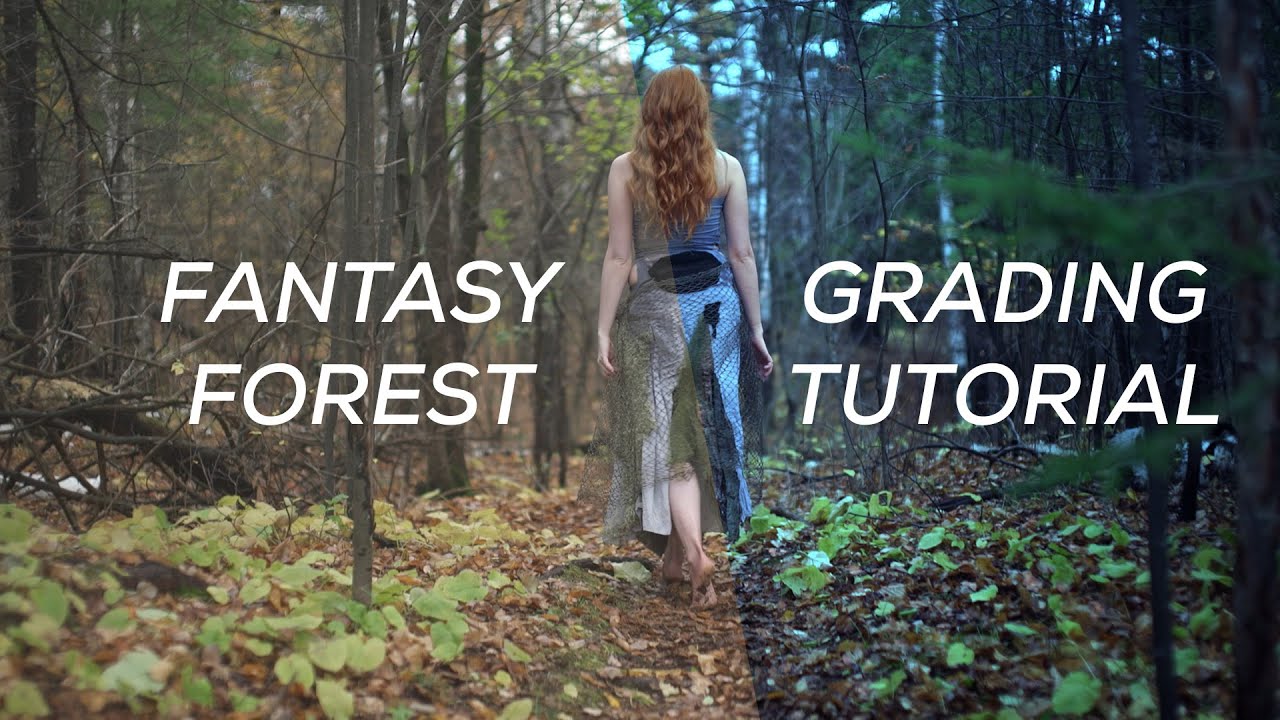 Fantasy Forest // Davinci Resolve Lite 12 Color Grading Tutorial