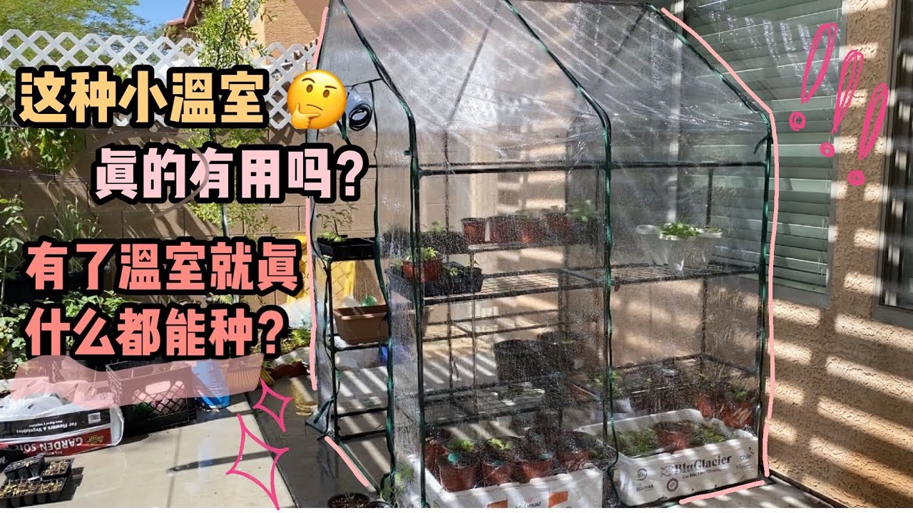 有了溫室就真什麼都能種？可不是喔！小溫室組裝| How to assemble your mini greenhouse?