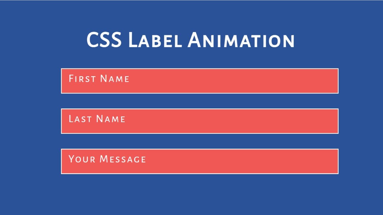 How To Make CSS Input Label Animation | HTML & CSS