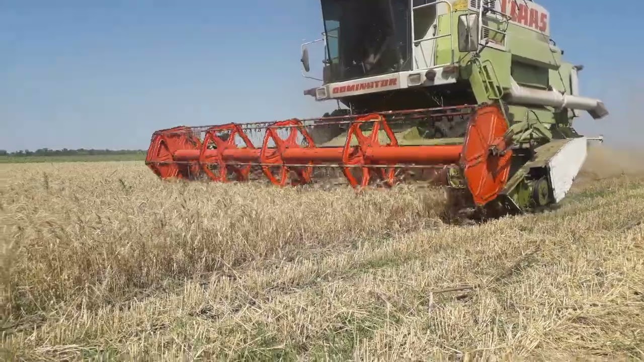 29.07.2022 NO-TILL пшеница уборка.  Распродажа хозяйства.