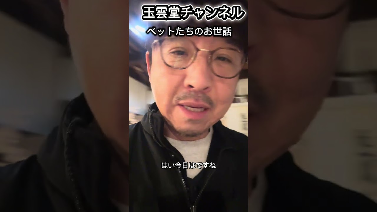 ペットたちのお世話をする一日