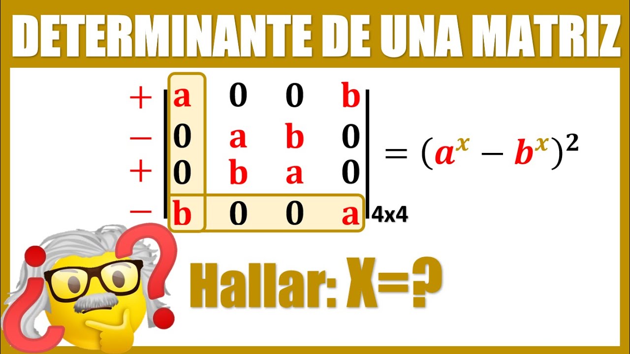 Determinante de una matriz 4x4 por Cofactores (con parámetros)